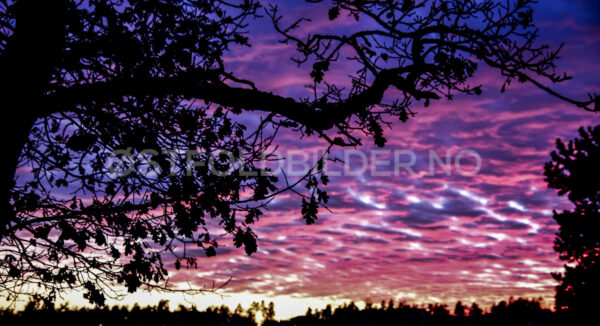 Solnedgang på Hanan, Rygge - Østfoldbilder.no