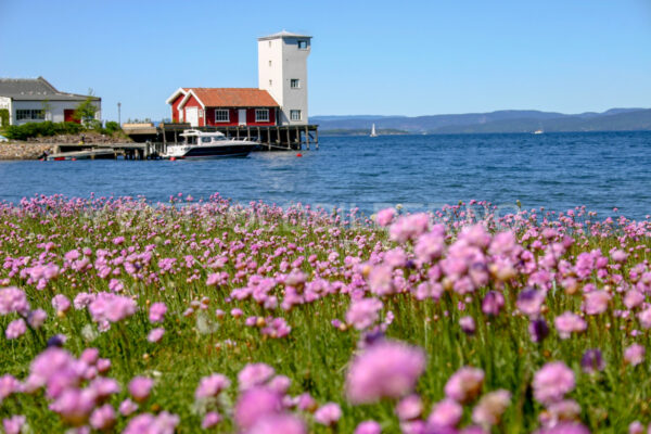 Tronvikstranda, Jeløy - Østfoldbilder.no