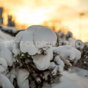 Vinter på Hanan, Rygge - Østfoldbilder.no