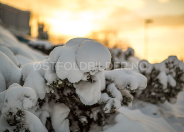 Vinter på Hanan, Rygge - Østfoldbilder.no