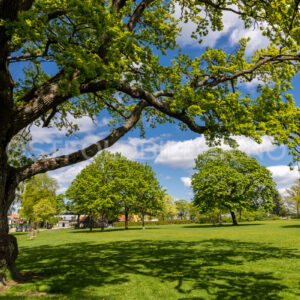 Melløsparken, Moss - Østfoldbilder.no