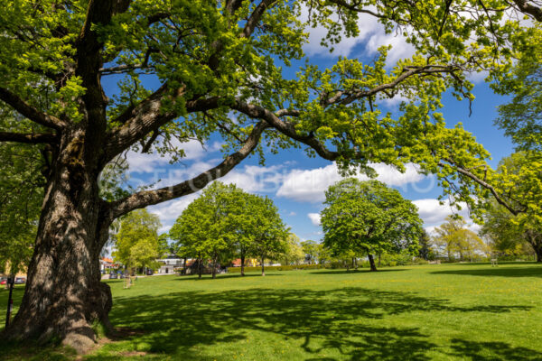 Melløsparken, Moss - Østfoldbilder.no